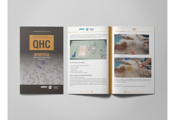Revista QHC Anemia -Que Hacer Con...