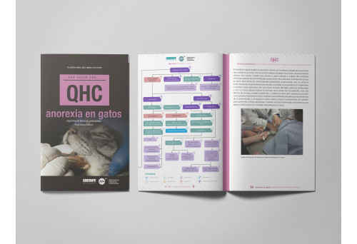 Revista QHC Anorexia en gatos -Que Hacer Con...