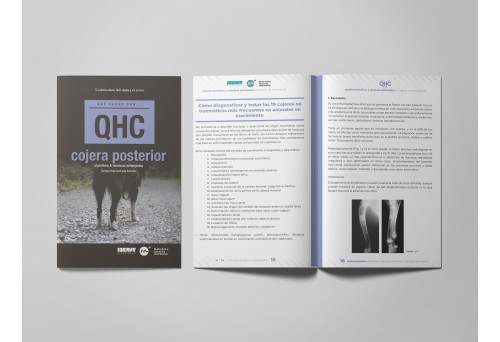 Revista QHC Cojera posterior -Que Hacer Con...
