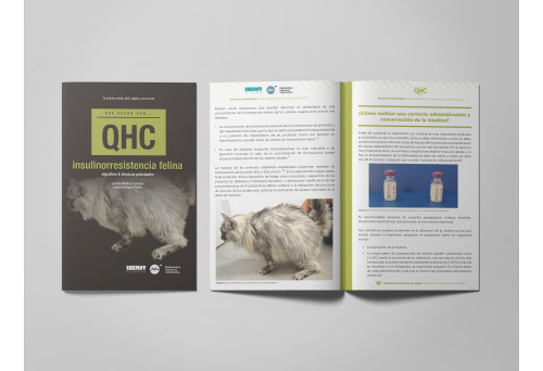 Revista QHC Insulinorresistencia felina -Que Hacer Con...