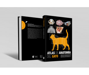 Atlas de anatomía del gato